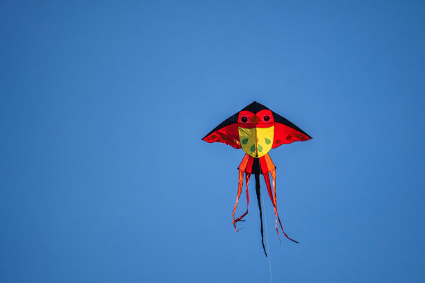 风筝在蓝天上。图片下载