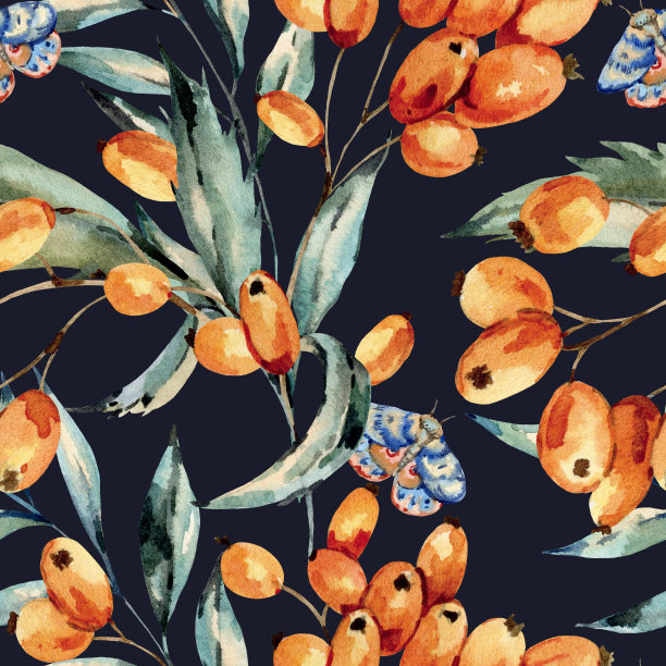 水彩无缝图案与秋橙浆果和蓝蛾图片下载