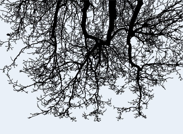 寒冷季节树枝的剪影向量图像图片下载