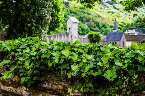2019年5月11日，德国莱茵兰-普法尔茨的摩泽尔河上的Cochem城，背景是船只和Reichsburg图片下载