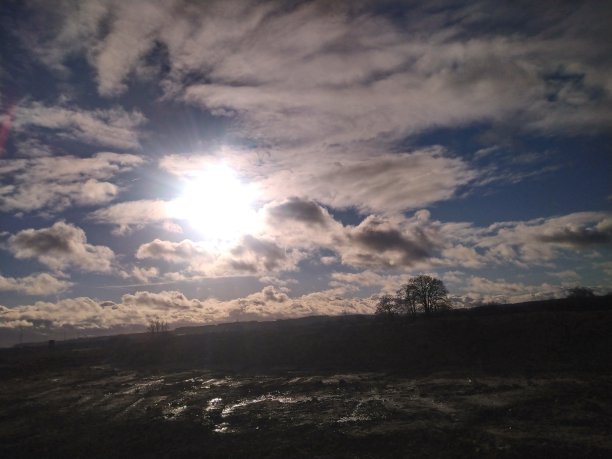 周日走图片下载