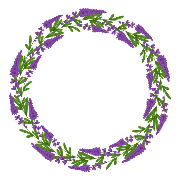 时髦的薰衣草花环，伟大的设计为任何目的。颜色背景。矢量图形艺术。彩色插图。薰衣草图标。自然的名片设计。孤立的插图白色背景。图片下载