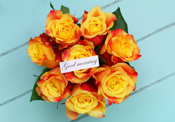 早上好，蓝色木质表面上的彩色玫瑰花束图片下载