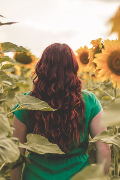 夏天，一个红头发的卷发女孩穿着绿色的裙子，背站在盛开的向日葵地里图片下载