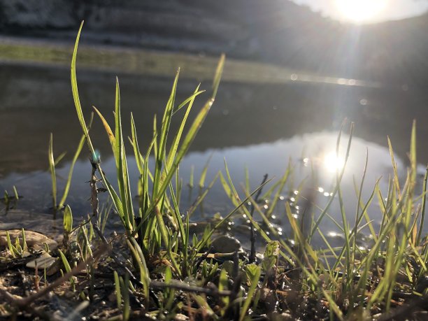 池塘上的日出图片下载