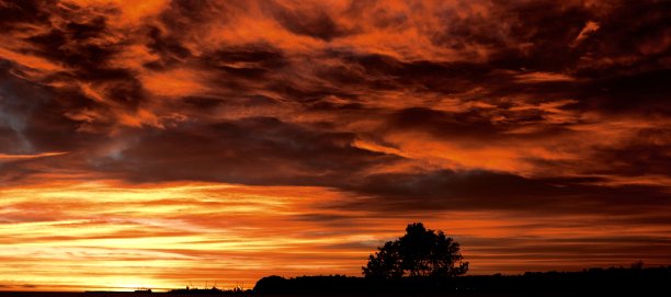 纳皮尔的日出图片下载