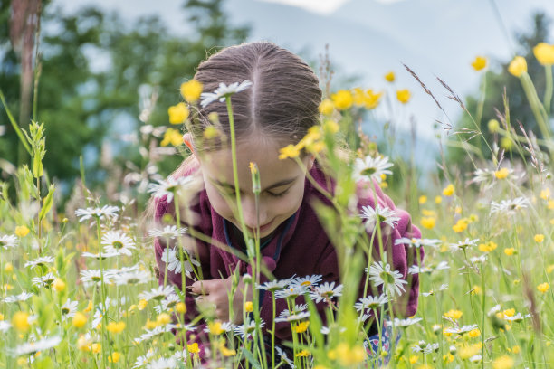 可爱女孩在春山草地上欣赏野花的肖像图片下载