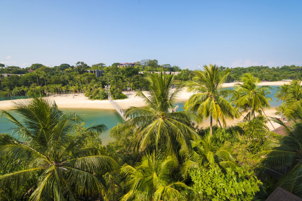 新加坡圣淘沙的巴拉望岛吊桥图片下载