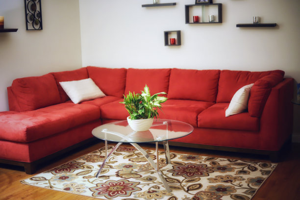 客厅里的一张玻璃桌子上放着一株温室植物，带有红色的部分图片下载