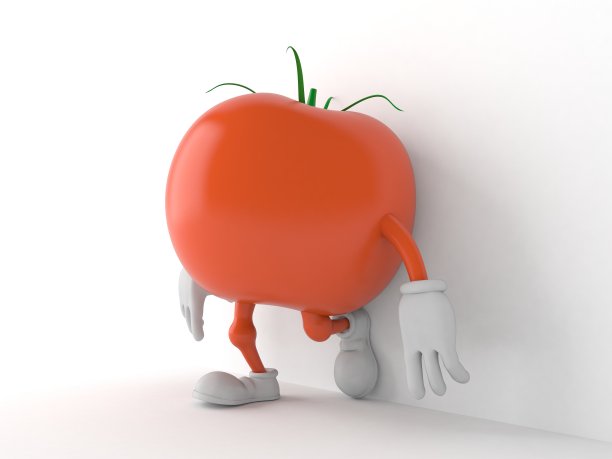 番茄性格倚墙，白色背景图片下载