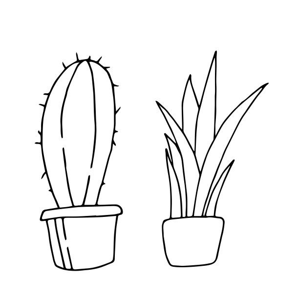 手绘仙人掌在盆中白色的背景图片下载