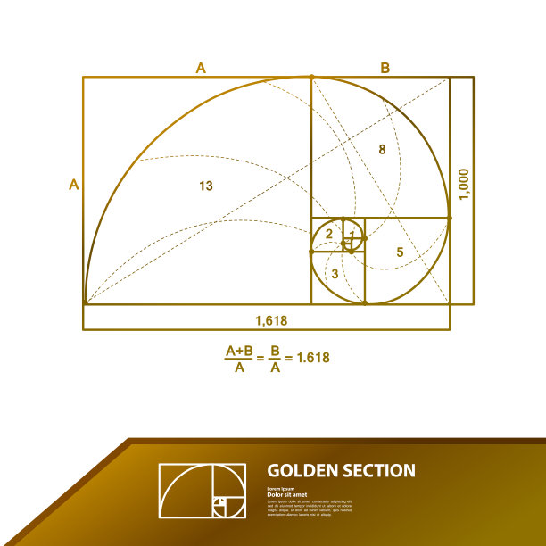 黄金比例的创意设计矢量插图。图片下载