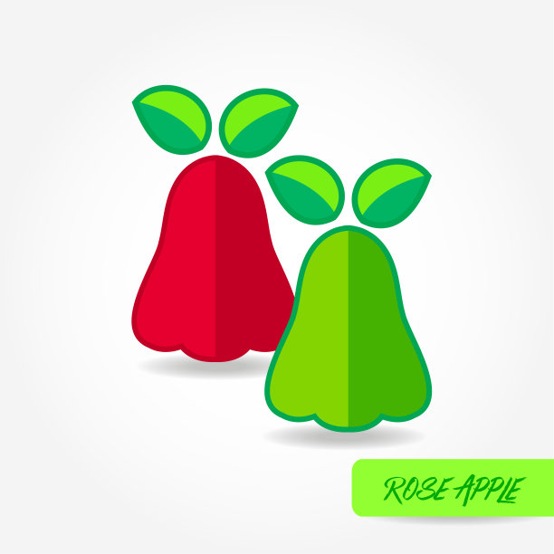玫瑰苹果鲜果载体插图。图片下载