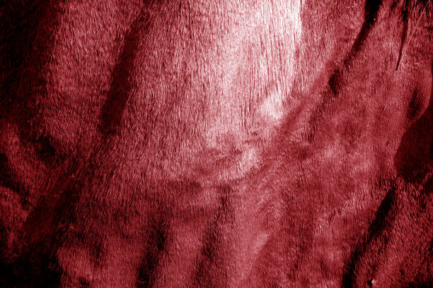 粗糙的皮革纹理上的太阳在红色调。图片下载