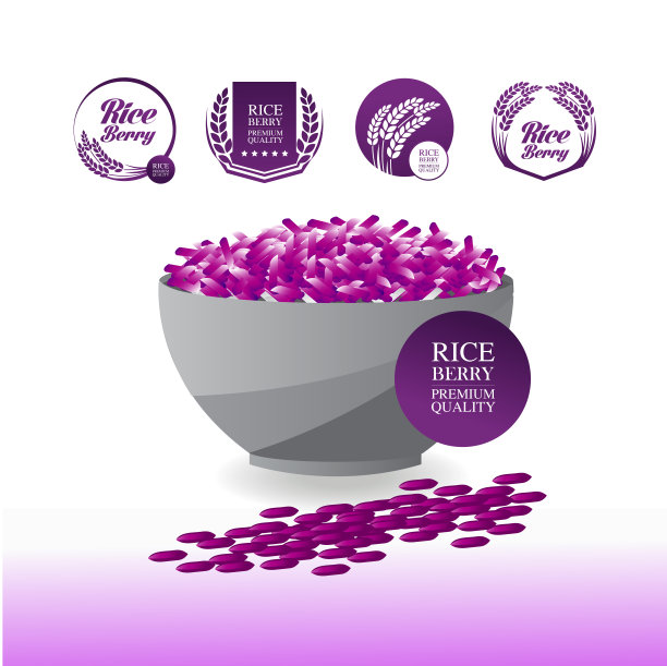 优质米莓高品质设计理念向量。图片下载