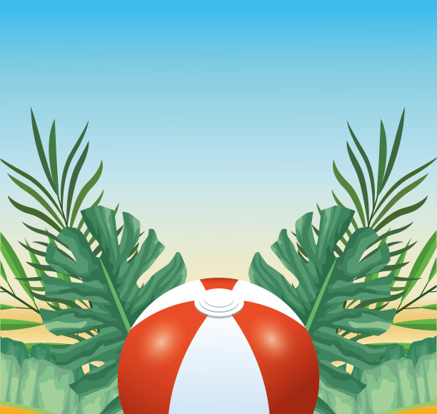 夏天的时候在海滩度假球叶热带图片下载