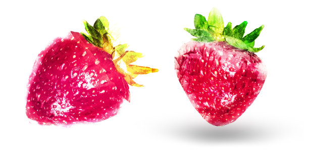 两个水彩草莓在白色图片下载