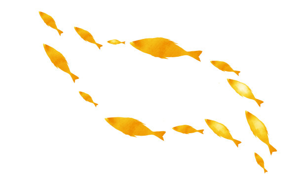 白色上一群群鱼的剪影。水彩图片下载