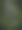 丛林回来图片下载