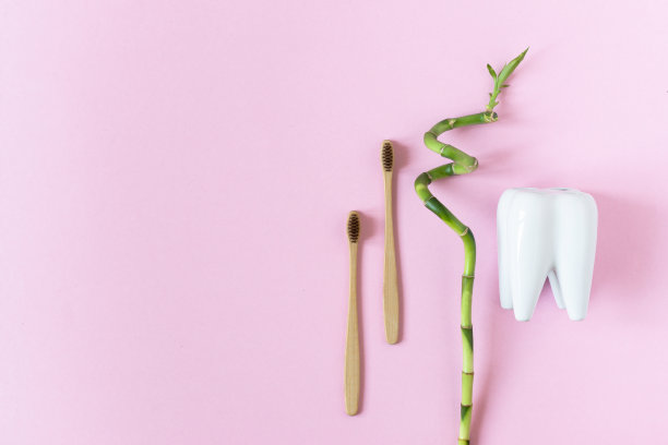 两把可降解、可堆肥的竹子牙刷放在粉红色的背景上。装饰用绿色的竹子。图片下载