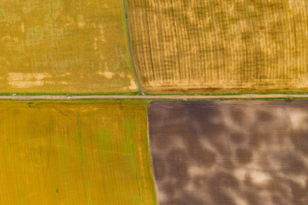 无人机鸟瞰图拍摄的土地与播种的绿色田野在农村图片下载