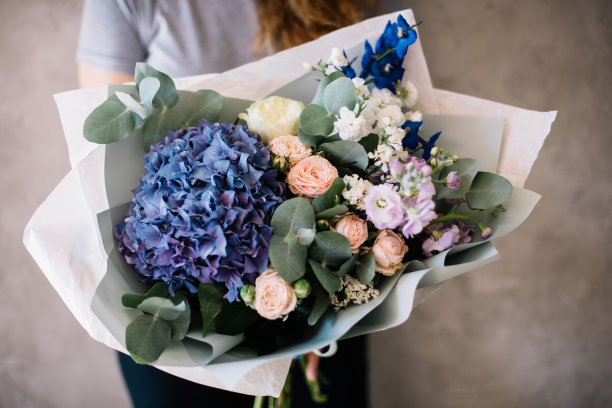 非常漂亮的年轻女子捧着一束新鲜的绣球花，马提奥拉，玫瑰，蓝色和粉红色的桉树花在灰色的墙壁背景图片下载