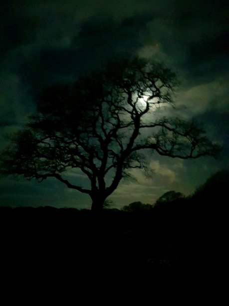 狼月偷窥图片下载