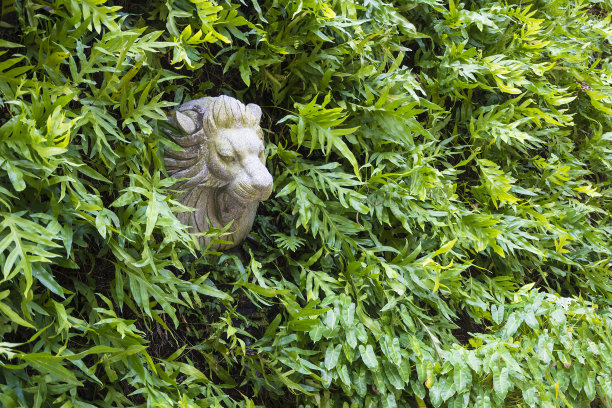 在绿色中有一尊狮头雕像图片下载