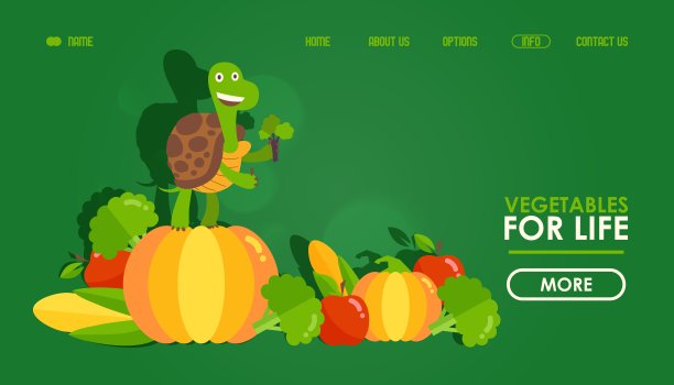蔬菜健康食品网站设计，矢量插图。登陆页面模板与海龟卡通人物。在线食品商店配送。扁形蔬菜图片下载