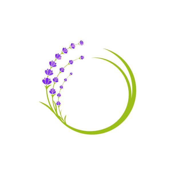 薰衣草花矢量图标插图图片下载