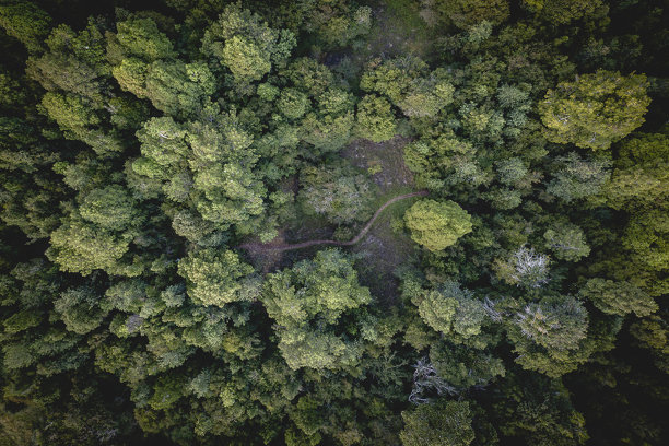 大量的辣椒图片下载