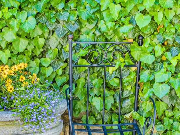 奥地利多瑙河流域地区图片下载