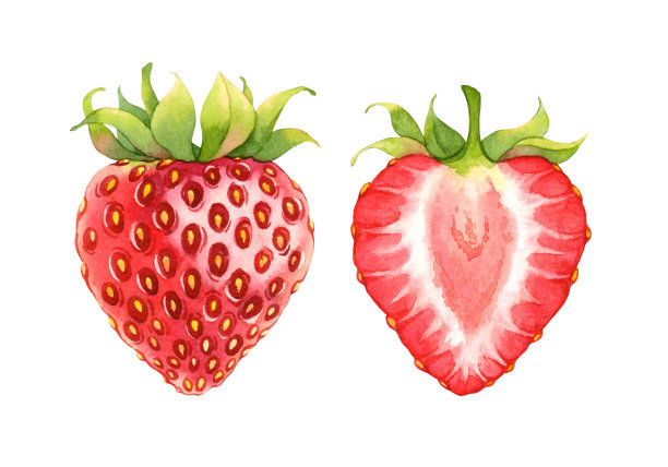 水彩草莓图片下载