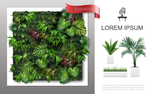 现实家庭植物概念图片下载