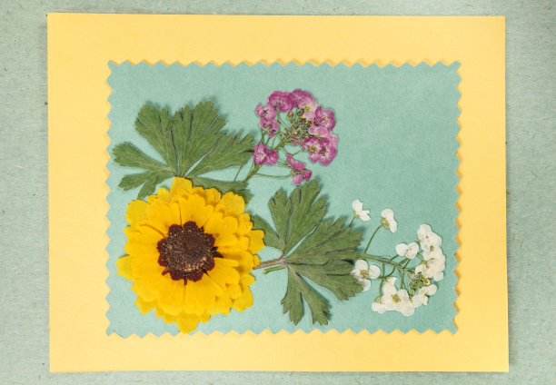 在彩色背景上的一束干花。用于花艺，剪贴簿。乡村和生态风格。剪贴簿的元素。干压花的装饰品、花束、胸花。图片下载