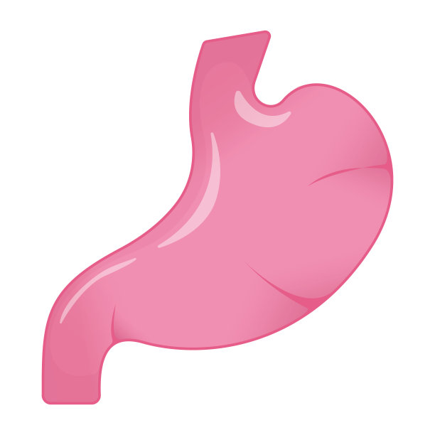 胃概念图标和标签。健康研究标志，图标和徽章。卡通矢量插图。图片下载