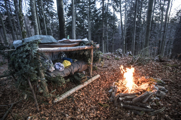 露营地点在荒野-库存照片图片下载