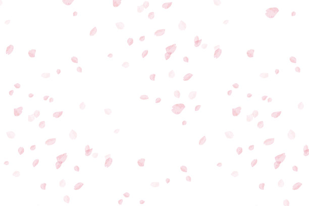 樱桃树在春风中起舞。(许多樱桃树的花瓣)图片下载