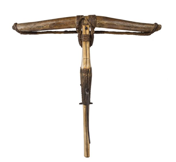 古老的弩的底面图片下载