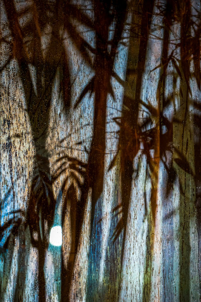 雨后的夜晚，用外面的聚光灯在磨砂玻璃上抽象出竹影。这张照片看起来新鲜凉爽的天气和神秘或恐怖的感觉在同一时间。图片下载