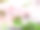 科学研究板材为植物样品材料素材图片
