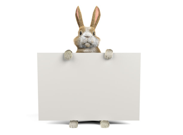 兔子宝宝举着横幅图片下载