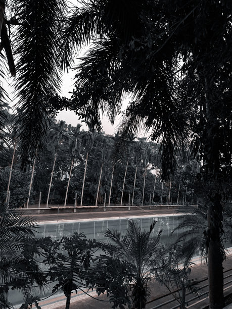 游泳池景色图片下载