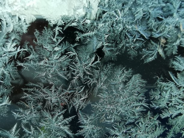 冰的花图片下载