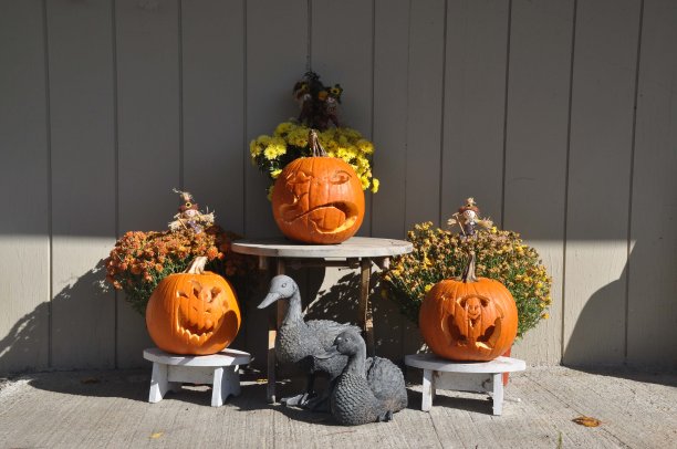 三个漂亮的南瓜图片下载