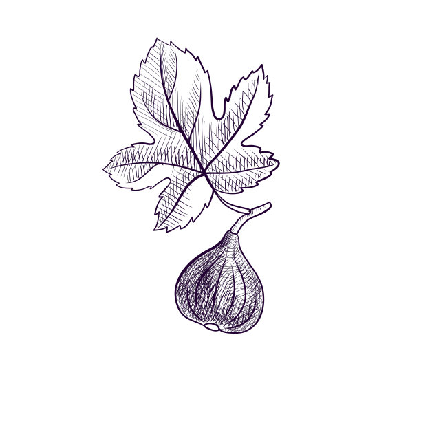 FIG树的矢量绘制分支图片下载