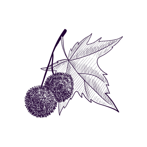 平面树的矢量绘制分支图片下载