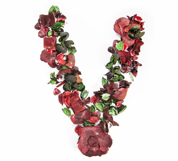 由干玫瑰花制成的拉丁字母。图片下载