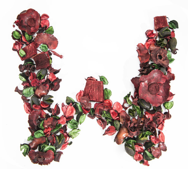 由干玫瑰花制成的拉丁字母。图片下载