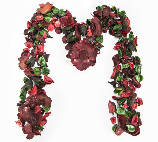 由干玫瑰花制成的拉丁字母。图片下载
